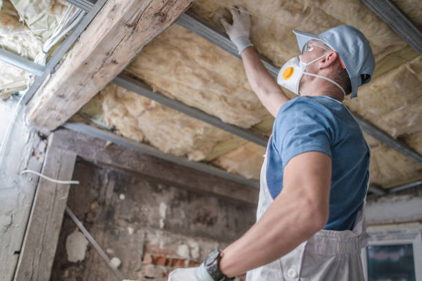 Best DIY Insulation Kits and Guidance in Montalvin Manor, CA