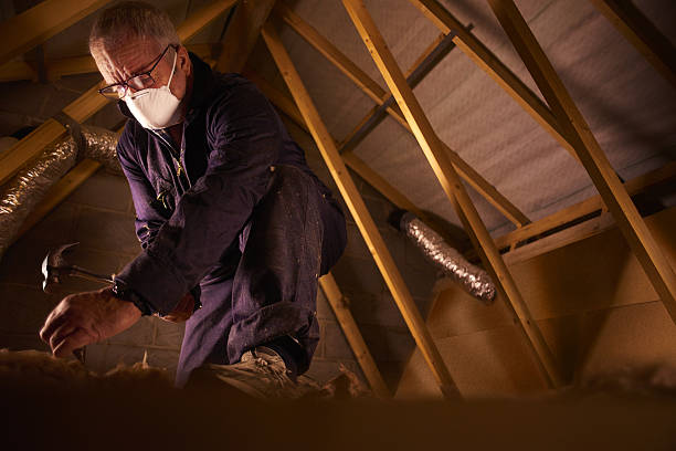Best Fiberglass Insulation in Montalvin Manor, CA